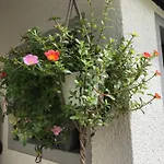 Lahnmuendung * Lahnstein