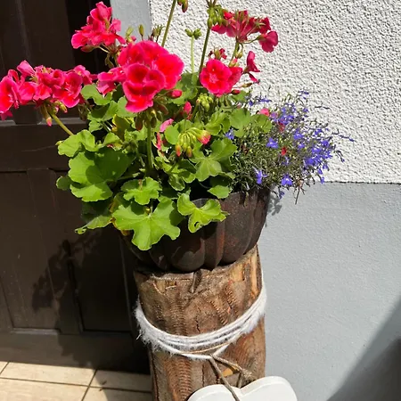 Lahnmuendung Apartment *