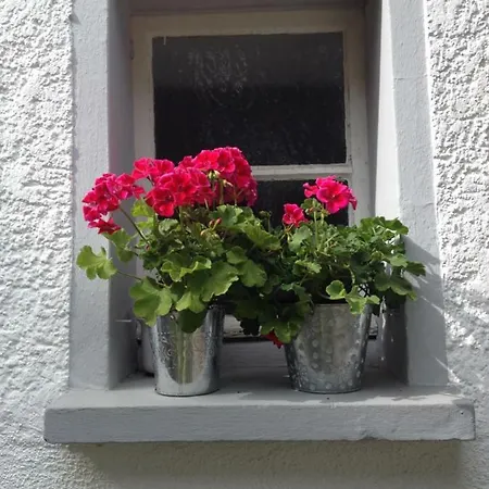 Lahnmündung Lahnstein