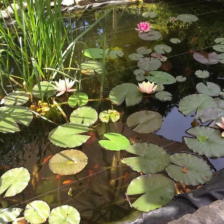 Apartamento Lahnmuendung