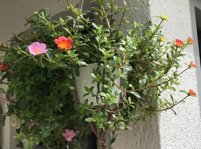 Lahnmuendung * Lahnstein