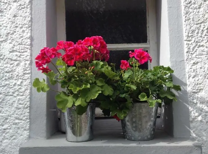 Lahnmuendung Lahnstein